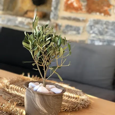 Harmony Luxury Naxos * Kastrákion