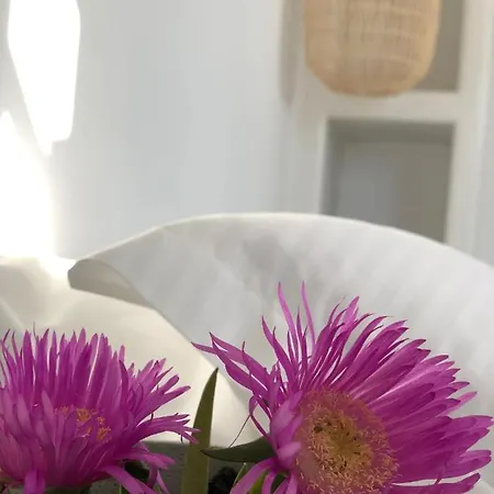 Harmony Luxury Naxos *