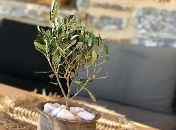 Harmony Luxury Naxos * Kastrákion