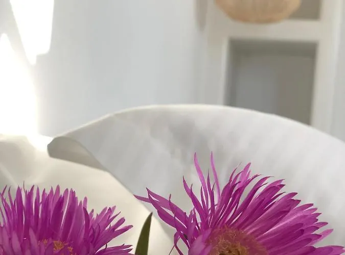 Harmony Luxury Naxos *