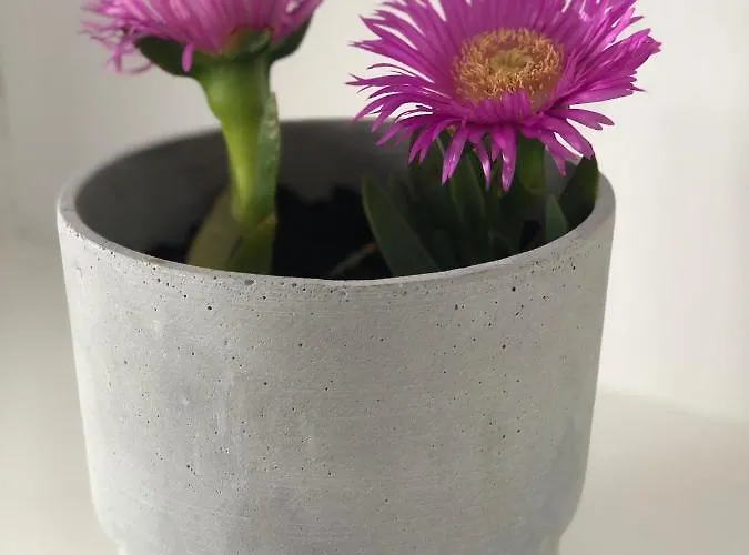 Harmony Luxury Naxos * Kastrákion