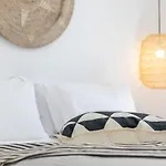 Harmony Luxury Naxos Prázdninový dům