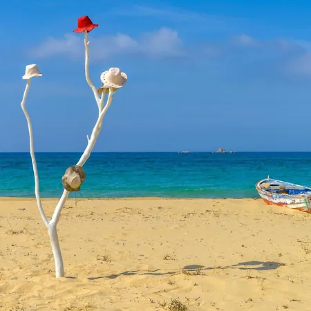 Harmony Luxury Naxos Semesterbostad Kastrákion