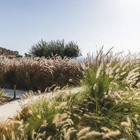 Harmony Luxury Naxos