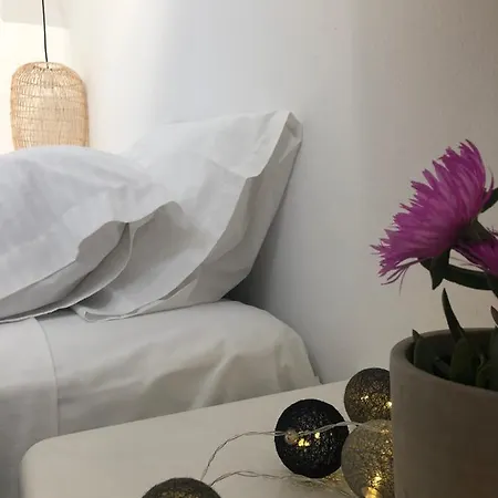 Semesterbostad Harmony Luxury Naxos *