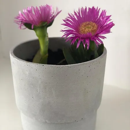 Harmony Luxury Naxos * Kastrákion