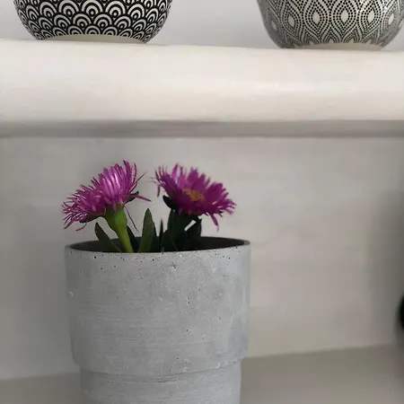 Semesterbostad Harmony Luxury Naxos *