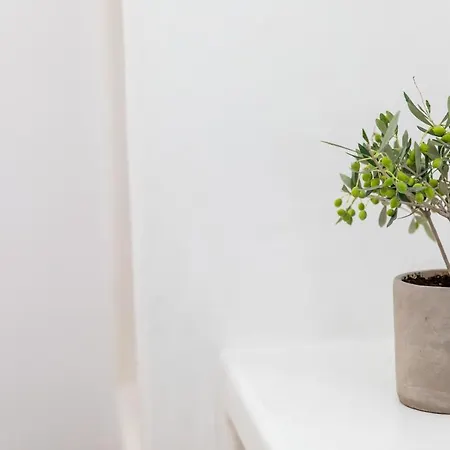 Harmony Luxury Naxos *