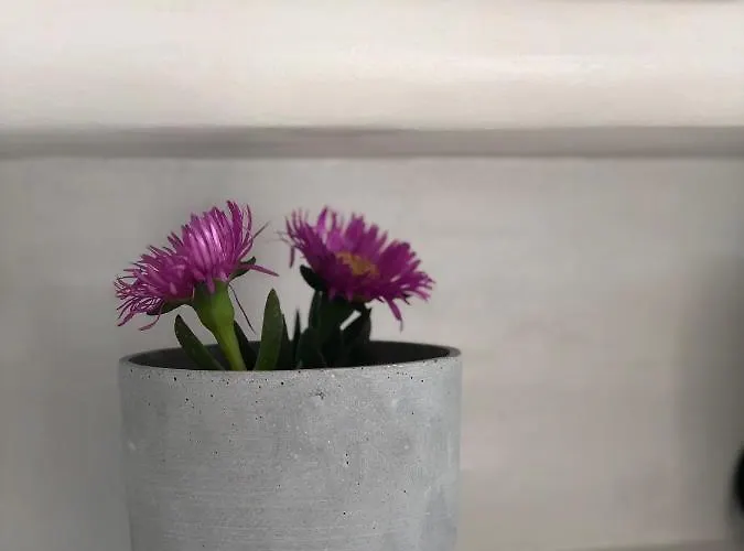 Semesterbostad Harmony Luxury Naxos *