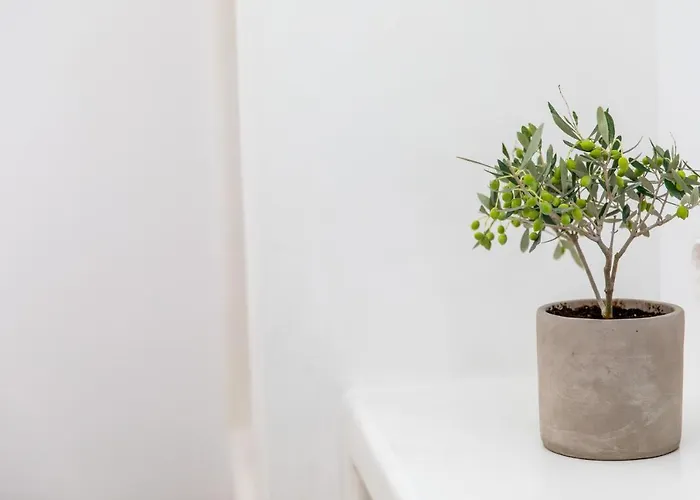 Harmony Luxury Naxos *